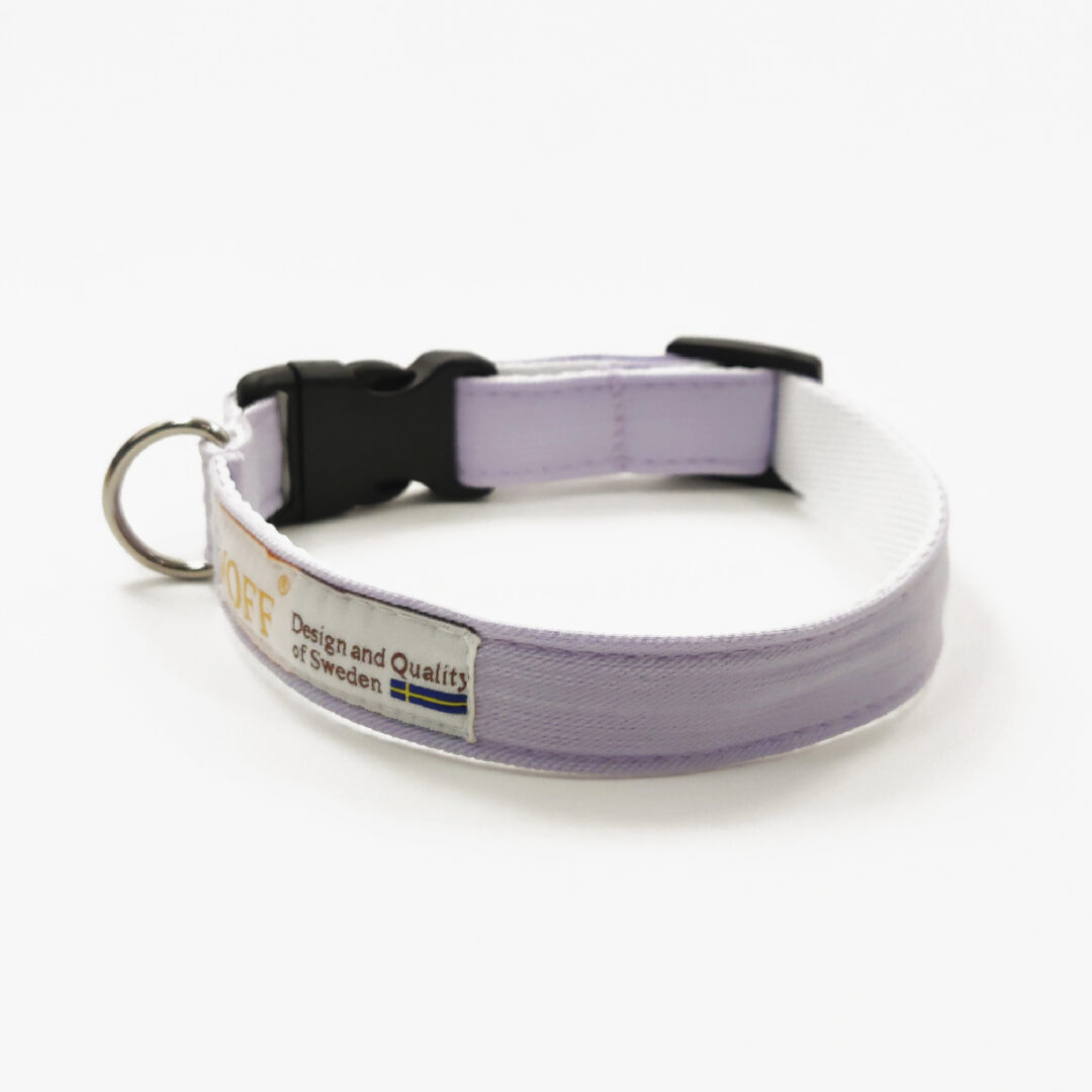 Hundhalsband Purple1