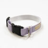 Hundhalsband Purple2