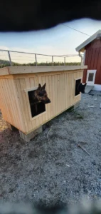 Hundkoja Dubbel