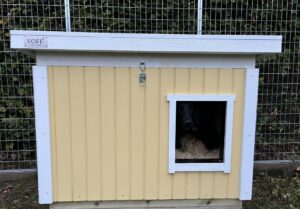 Hundkoja