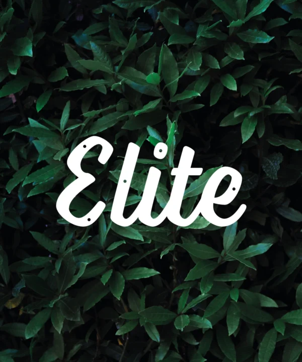 Hundnamn Skylt Valfritt Namn